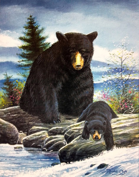 Mother Bear & Cub Matted Print by Randall Ogle