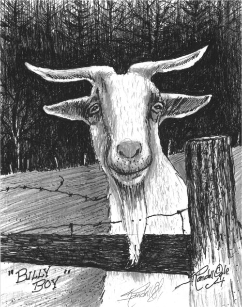 Billy Bob Pen and Ink Drawing by Randall Ogle