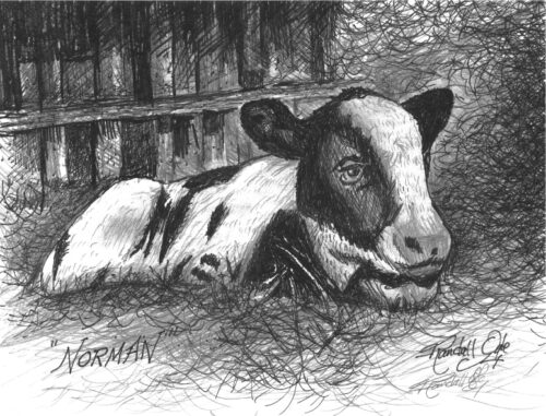 Norman Pen and Ink Drawing by Randall Ogle