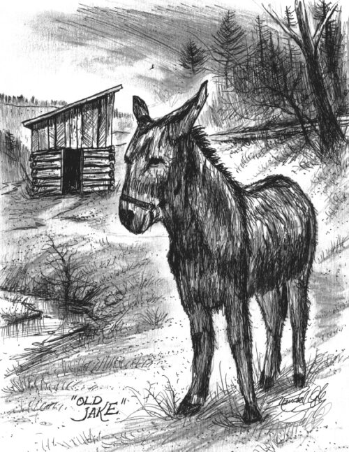 Old Jake Pen and Ink Drawing by Randall Ogle