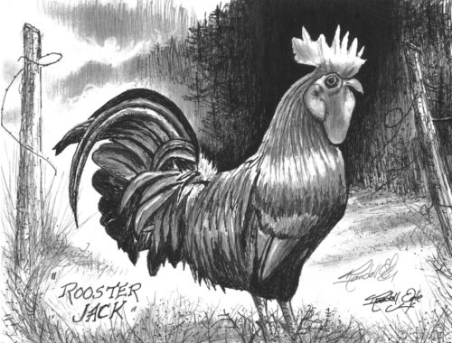 Rooster Jack Pen and Ink Drawing by Randall Ogle