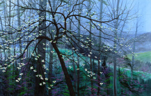 Gnatty Branch Spring by Randall Ogle