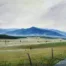 Fields of Cades Cove by Randall Ogle